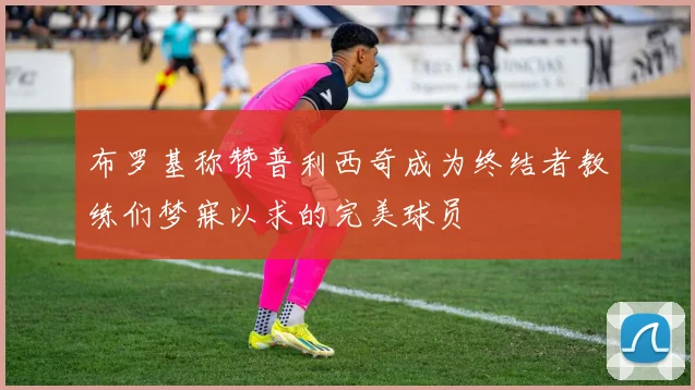 布罗基称赞普利西奇成为终结者教练们梦寐以求的完美球员