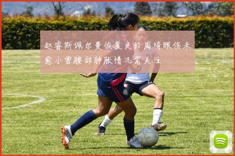 赵睿斯佩尔曼恢复良好周琦眼伤未愈小曾腰部肿胀情况需关注