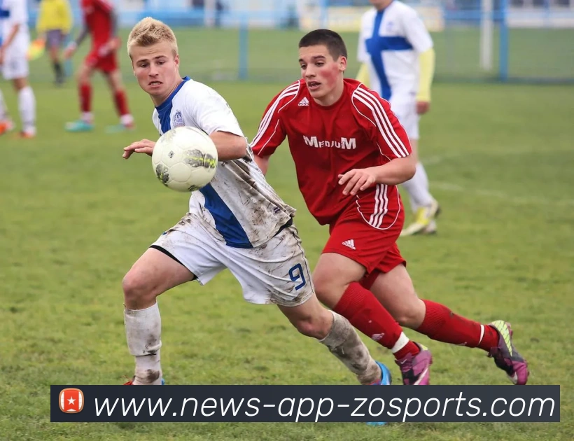 App Interface Preview